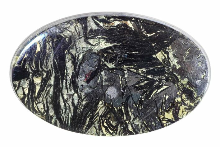 Polished Covellite Oval Cabochon #171380